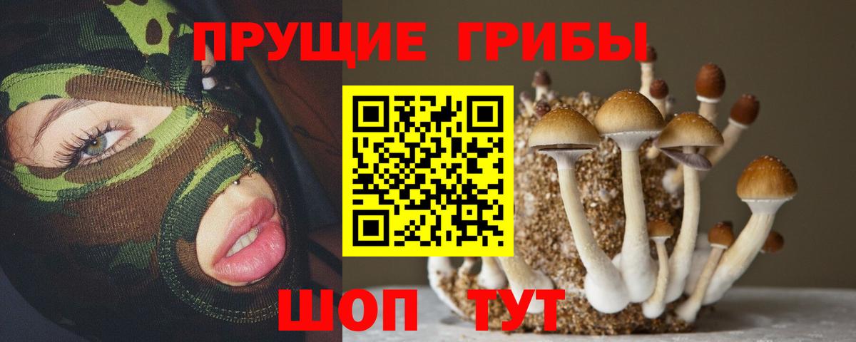 Реутов  Псилоцибиновые грибы прущие грибы  Галлюциногенные грибы мицелий  Вход с VPN 